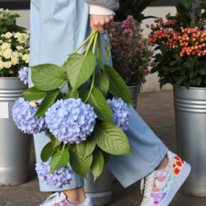 mila dual pocket pant